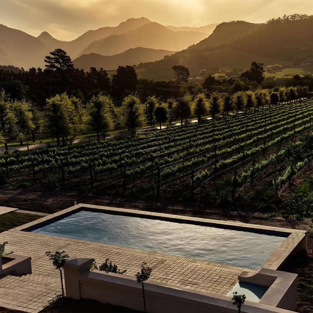 Etienne Hanekom Project