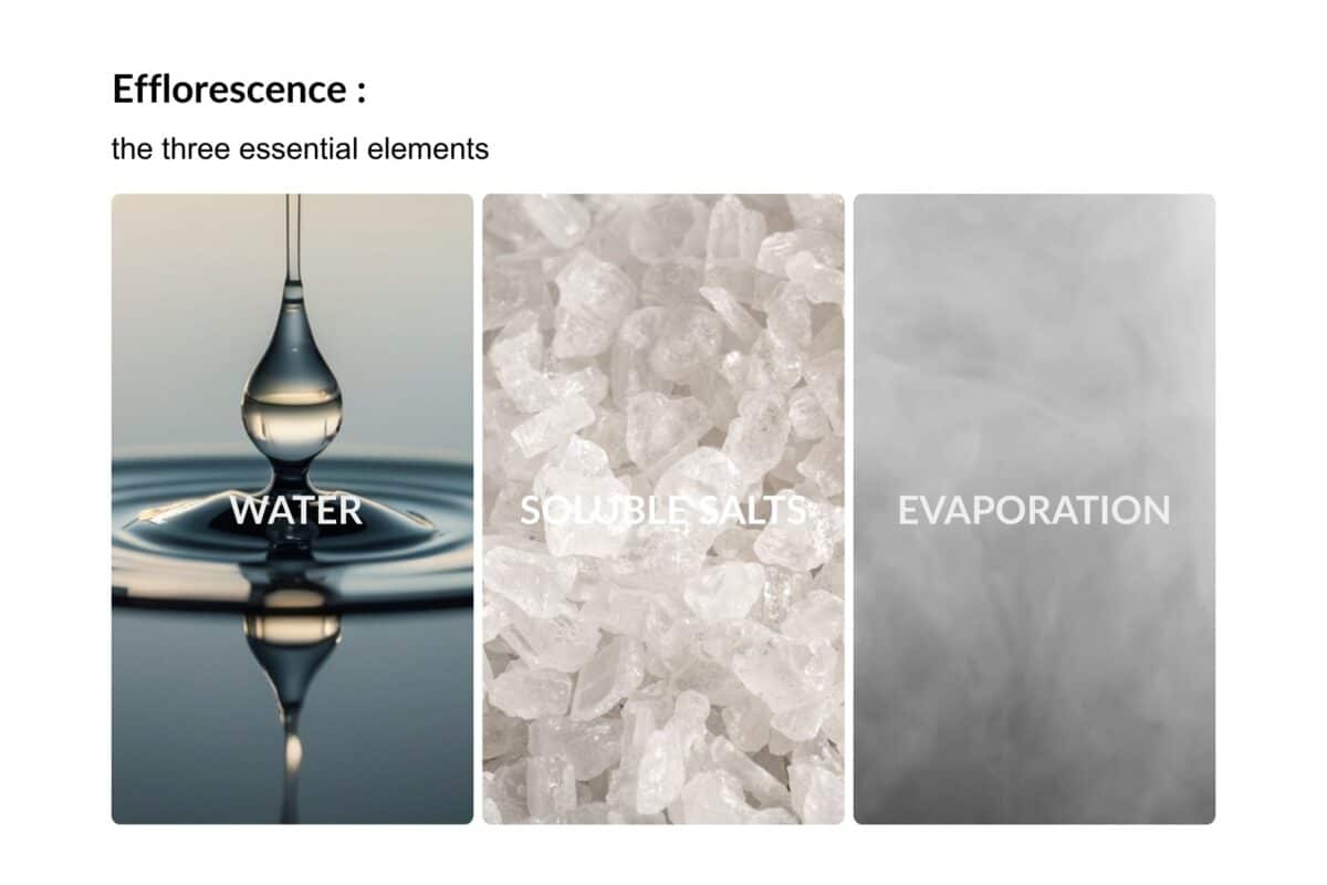 WATER 1